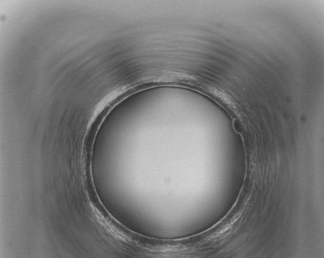 X0000061111122200512091810