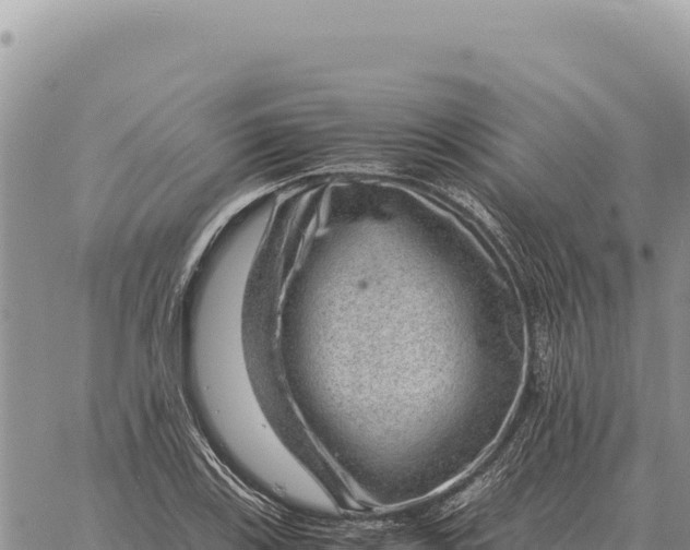 X0000061111123200512091810