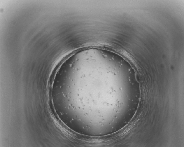 X0000061111124200512091810