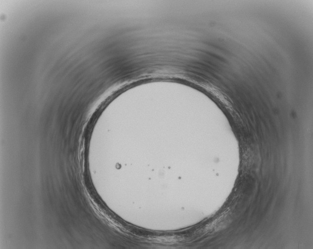 X0000061111126200512091810