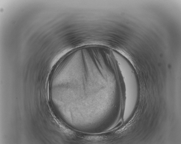 X0000061111127200512091810