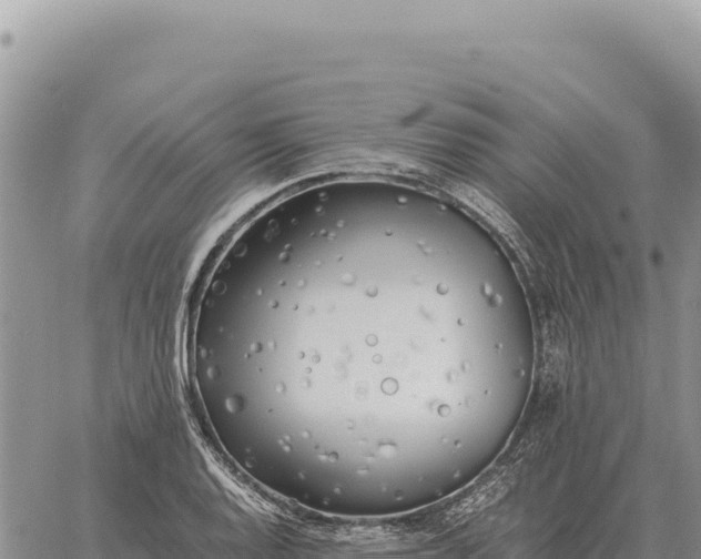 X0000061111128200512091810