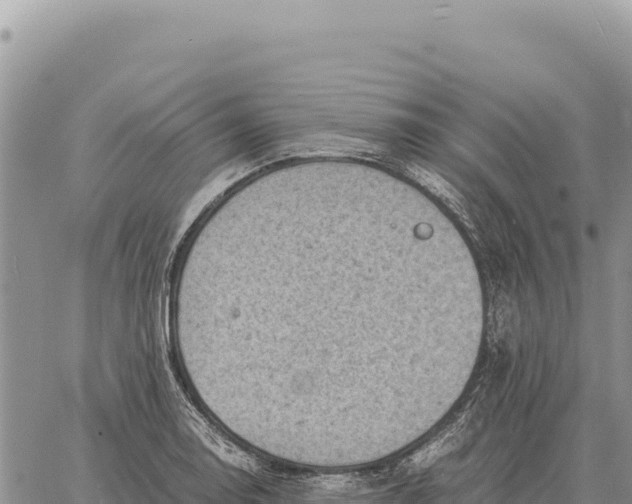 X0000061111130200512091810