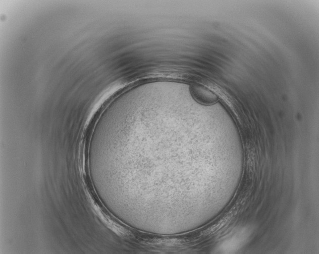 X0000061111131200512091810