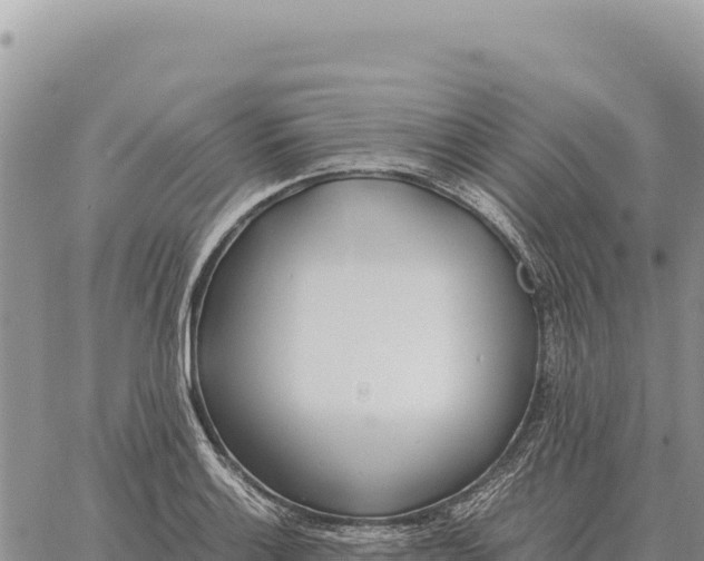 X0000061111132200512091810