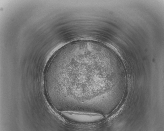 X0000061111133200512091810