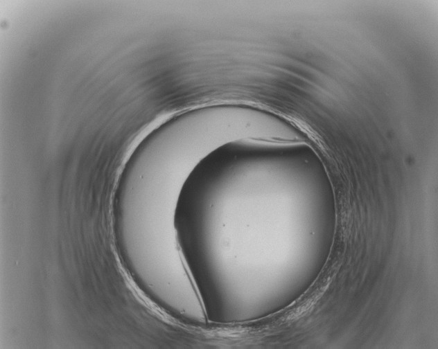 X0000061111134200512091810