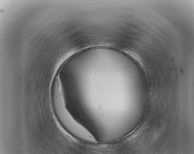 X0000061111135200512091810