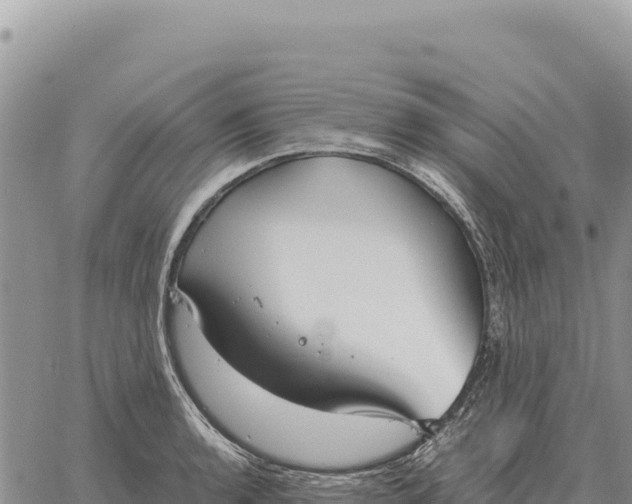 X0000061111136200512091810