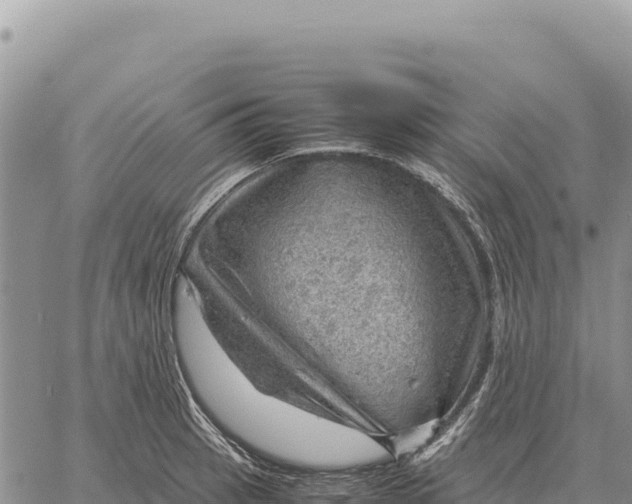 X0000061111137200512091810