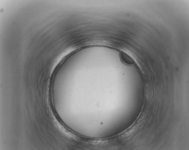 X0000061111139200512091810