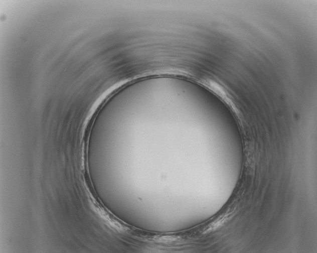 X0000061111140200512091810