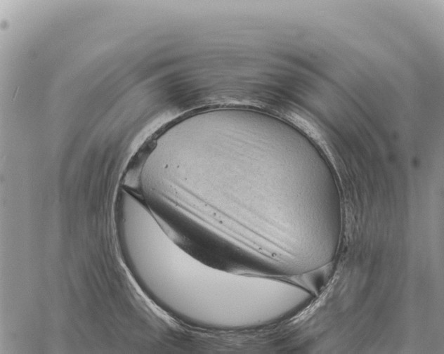 X0000061111141200512091810