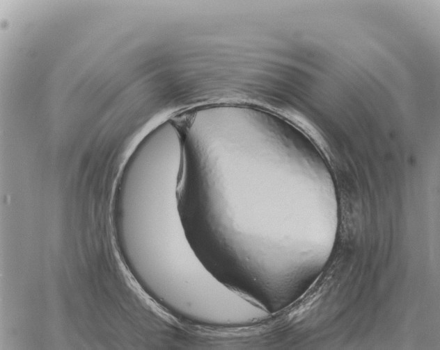 X0000061111142200512091810