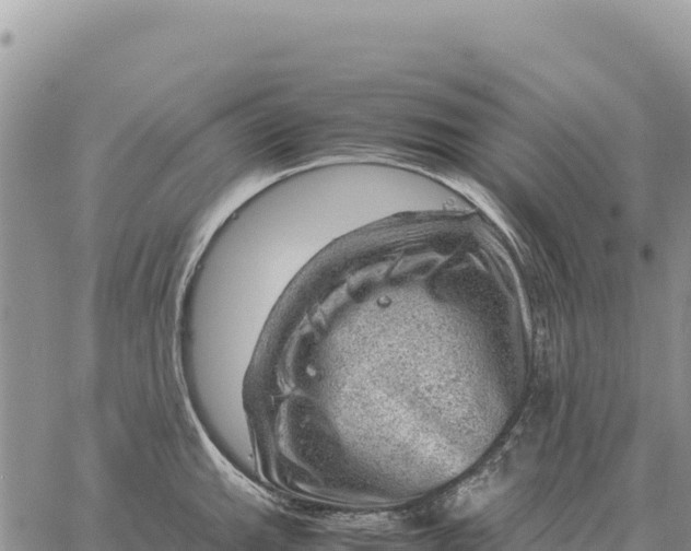 X0000061111143200512091810