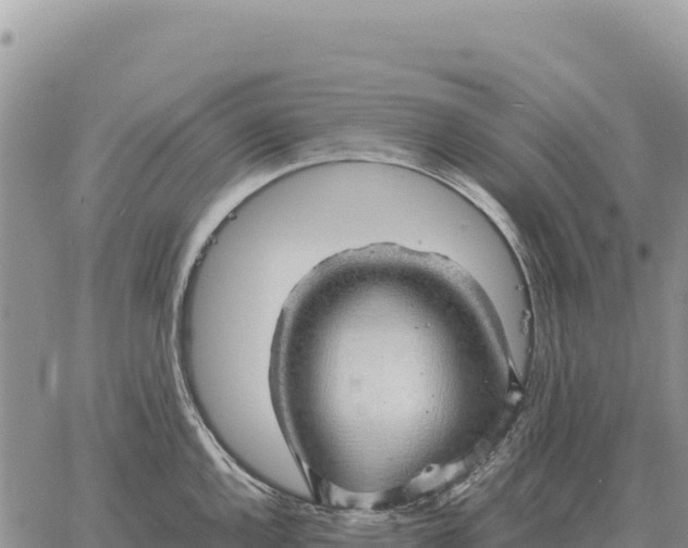 X0000061111144200512091810