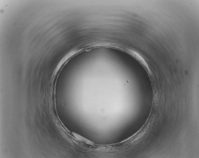 X0000061111146200512091810