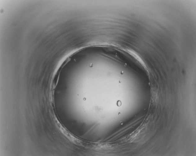 X0000061111148200512091811