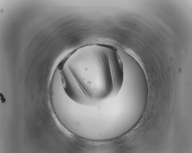 X0000061111152200512091811