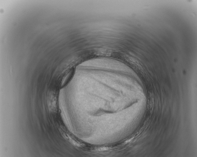 X0000061111154200512091810