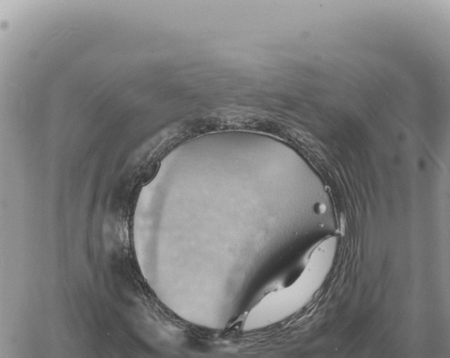 X0000061111155200512091810