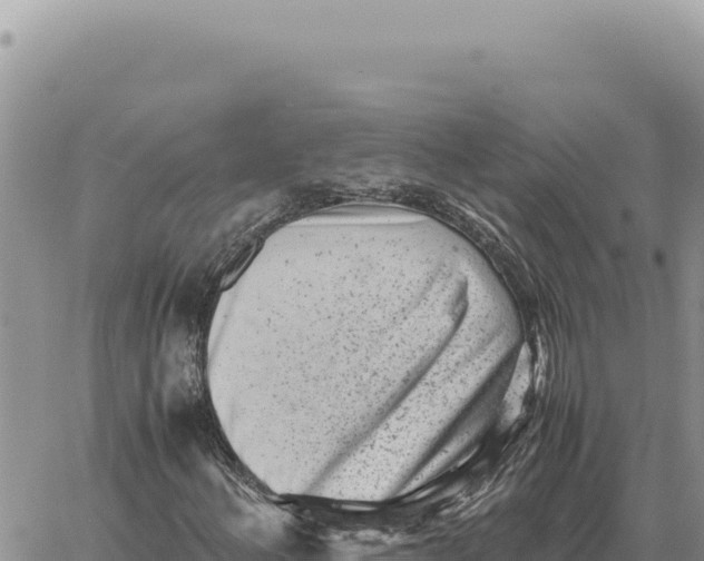 X0000061111156200512091810