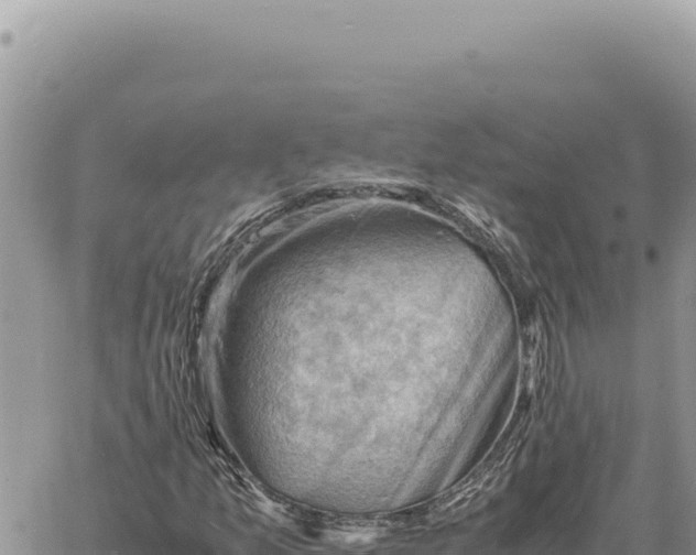 X0000061111157200512091810