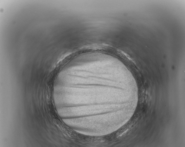 X0000061111158200512091810