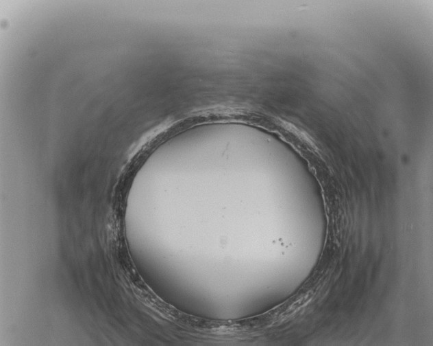 X0000061111160200512091810