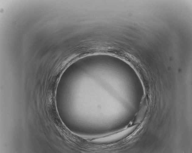 X0000061111161200512091810