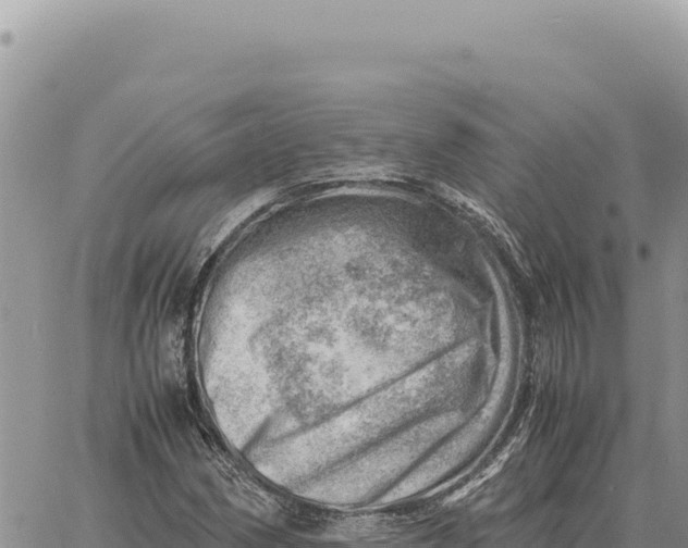 X0000061111162200512091810