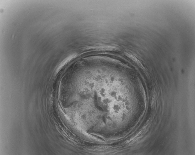 X0000061111163200512091810