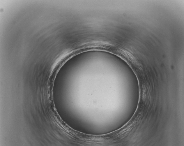 X0000061111164200512091810