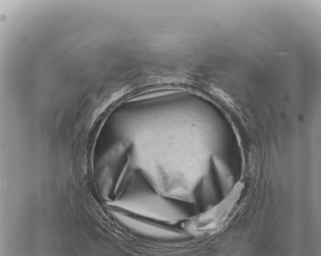 X0000061111165200512091810