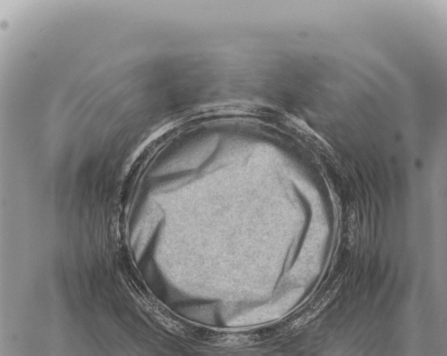 X0000061111166200512091810