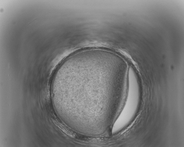 X0000061111167200512091810