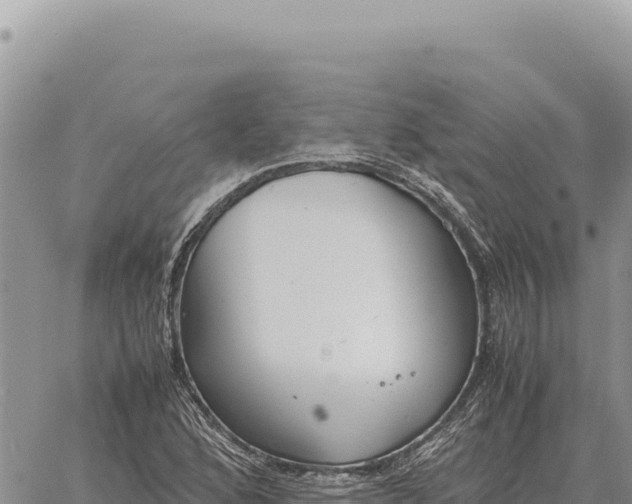 X0000061111168200512091810