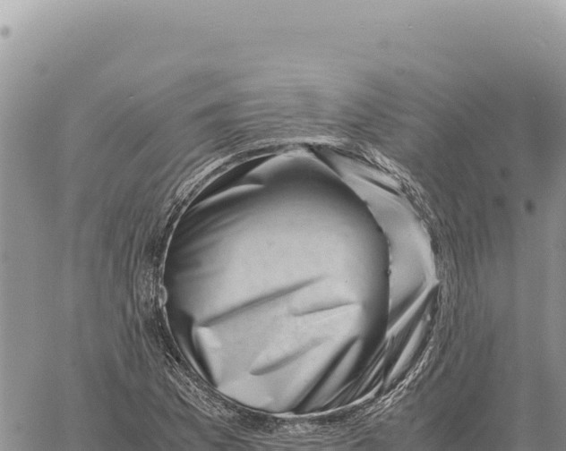 X0000061111169200512091810