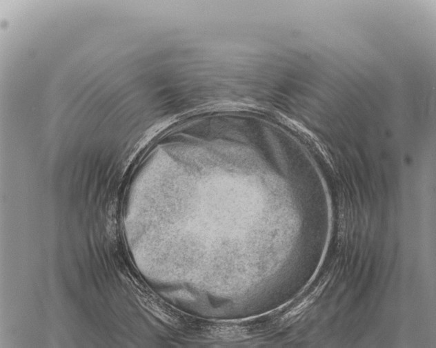 X0000061111170200512091810