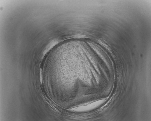 X0000061111171200512091809