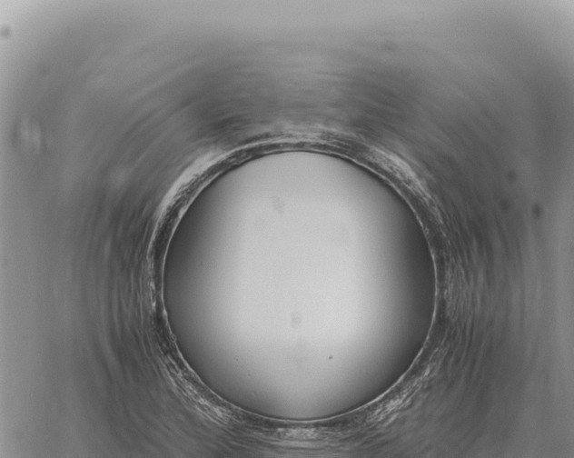 X0000061111172200512091809