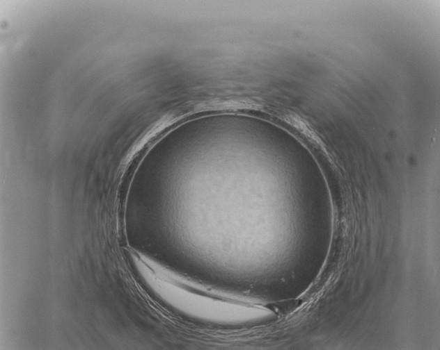 X0000061111173200512091809