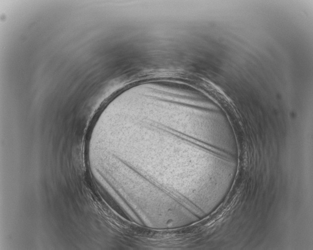 X0000061111174200512091809