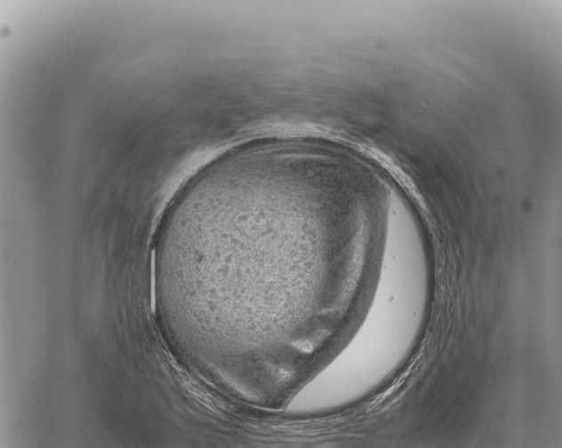 X0000061111175200512091809