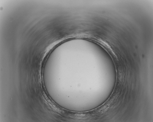 X0000061111176200512091809