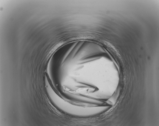 X0000061111177200512091809