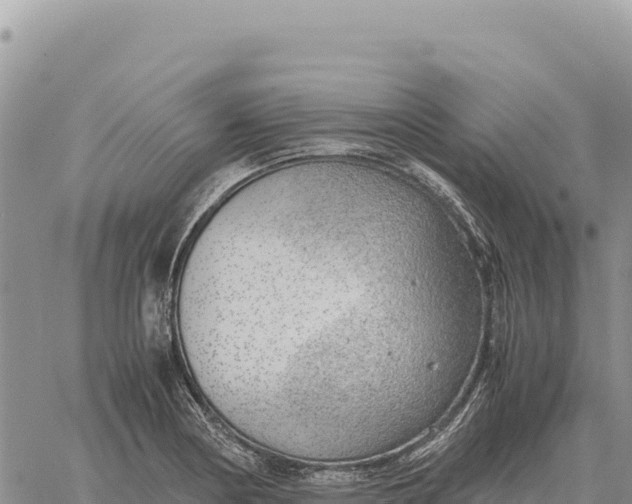 X0000061111178200512091809