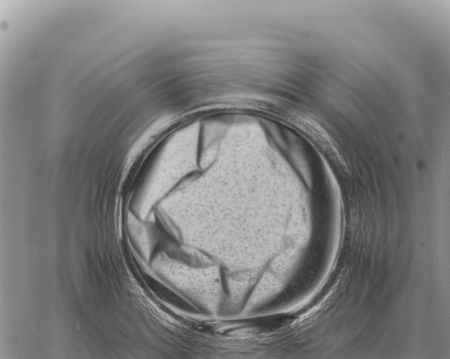 X0000061111180200512091809