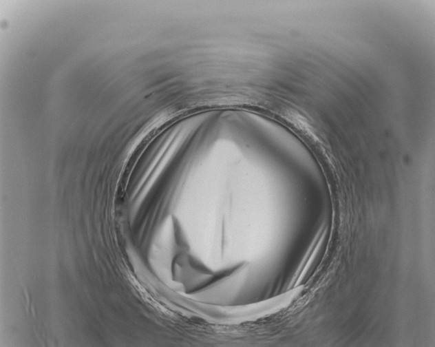 X0000061111181200512091809