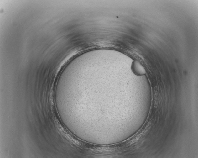 X0000061111182200512091809